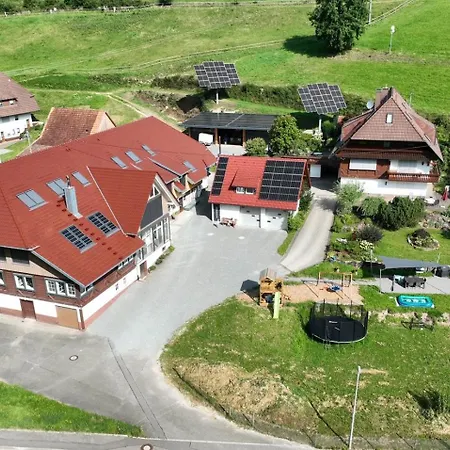 Oberbauernhof - Hasacker -- Neue Im Schoenen Schwarzwaldhaus Apartamento